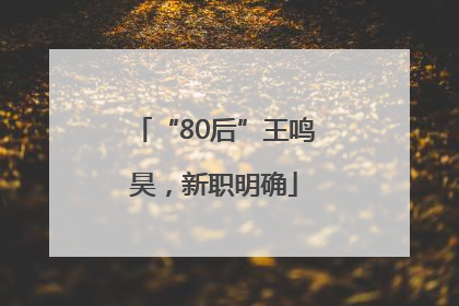 “80后”王鸣昊，新职明确