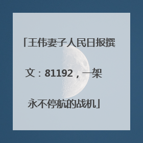 王伟妻子人民日报撰文：81192，一架永不停航的战机