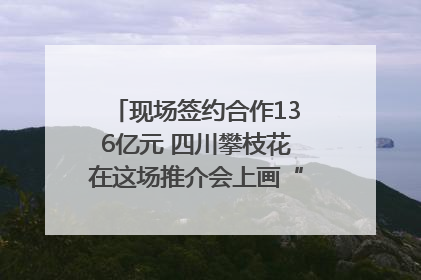 现场签约合作136亿元 四川攀枝花在这场推介会上画“图谱”列“清单”