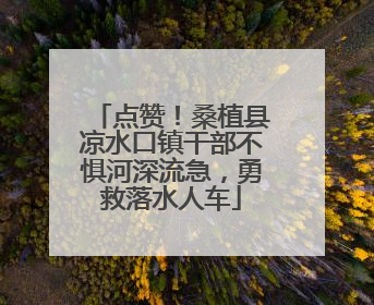 点赞！桑植县凉水口镇干部不惧河深流急，勇救落水人车