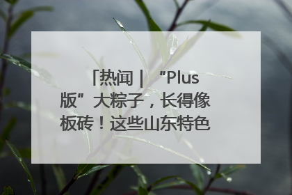 热闻｜“Plus版”大粽子，长得像板砖！这些山东特色粽子你吃过吗？