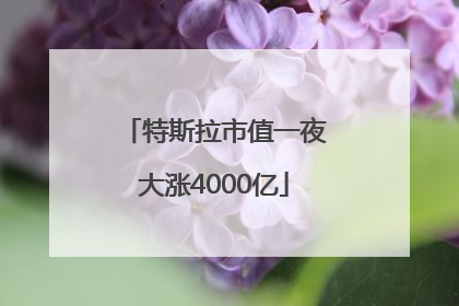 特斯拉市值一夜大涨4000亿