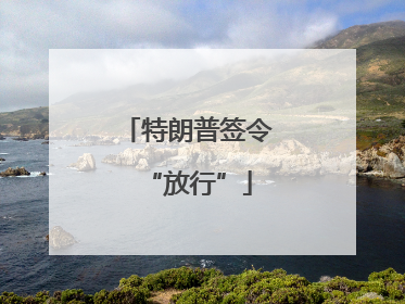 特朗普签令“放行”