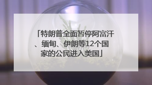 特朗普全面暂停阿富汗、缅甸、伊朗等12个国家的公民进入美国
