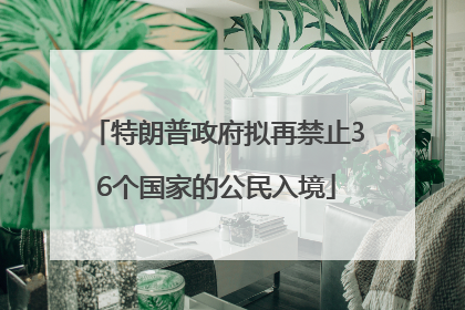 特朗普政府拟再禁止36个国家的公民入境