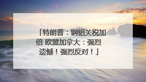 特朗普：钢铝关税加倍 欧盟加拿大：强烈遗憾！强烈反对！