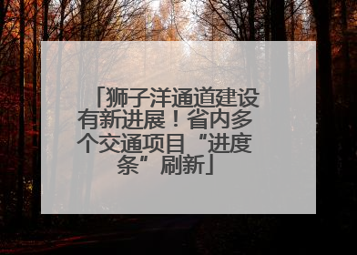 狮子洋通道建设有新进展！省内多个交通项目“进度条”刷新