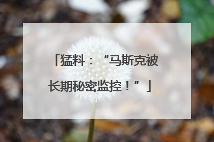猛料：“马斯克被长期秘密监控！”