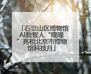 石景山区博物馆AI数智人“噗噗”亮相北京市博物馆科技月