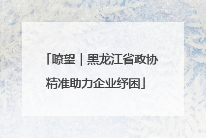 瞭望｜黑龙江省政协精准助力企业纾困