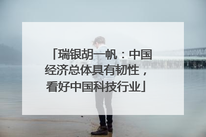 瑞银胡一帆：中国经济总体具有韧性，看好中国科技行业