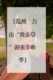 瓜州：万亩“黄金草”迎来丰收季