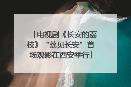 电视剧《长安的荔枝》“荔见长安”首场观影在西安举行