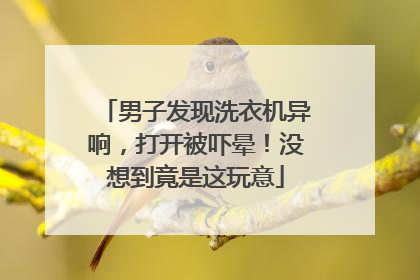 男子发现洗衣机异响，打开被吓晕！没想到竟是这玩意