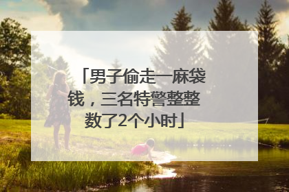 男子偷走一麻袋钱，三名特警整整数了2个小时