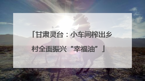 甘肃灵台：小车间榨出乡村全面振兴“幸福油”