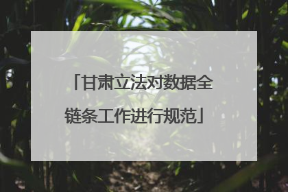 甘肃立法对数据全链条工作进行规范