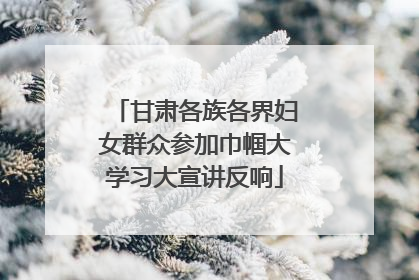 甘肃各族各界妇女群众参加巾帼大学习大宣讲反响
