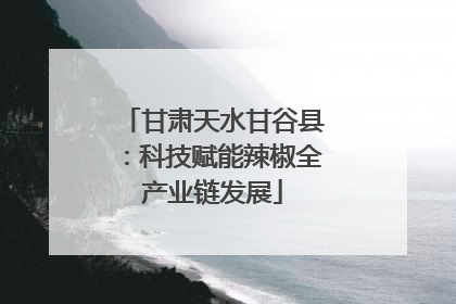 甘肃天水甘谷县：科技赋能辣椒全产业链发展