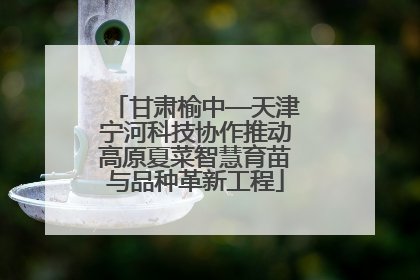 甘肃榆中—天津宁河科技协作推动高原夏菜智慧育苗与品种革新工程