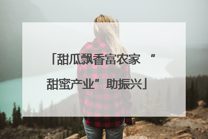 甜瓜飘香富农家 “甜蜜产业”助振兴