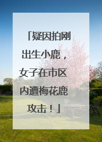 疑因拍刚出生小鹿，女子在市区内遭梅花鹿攻击！