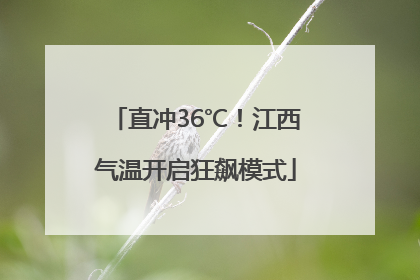 直冲36℃！江西气温开启狂飙模式