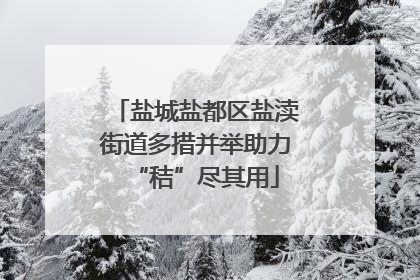 盐城盐都区盐渎街道多措并举助力“秸”尽其用