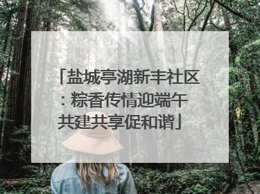 盐城亭湖新丰社区：粽香传情迎端午 共建共享促和谐