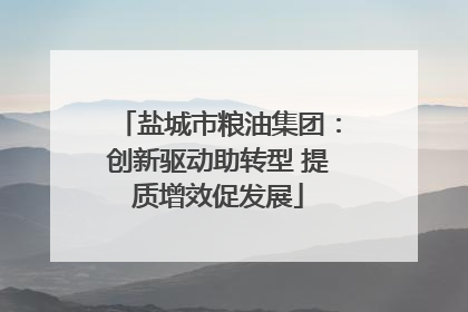 盐城市粮油集团：创新驱动助转型 提质增效促发展