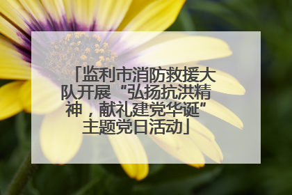 监利市消防救援大队开展“弘扬抗洪精神，献礼建党华诞”主题党日活动