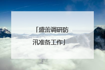 盛蕾调研防汛准备工作