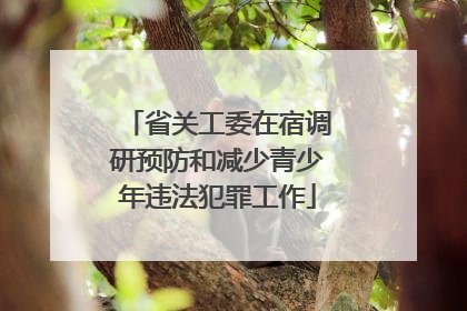 省关工委在宿调研预防和减少青少年违法犯罪工作