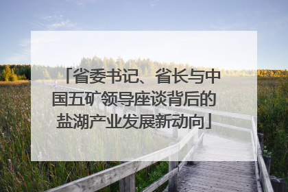 省委书记、省长与中国五矿领导座谈背后的盐湖产业发展新动向