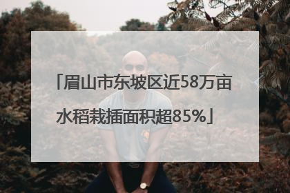 眉山市东坡区近58万亩水稻栽插面积超85%