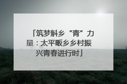 筑梦斛乡“青”力量：太平畈乡乡村振兴青春进行时
