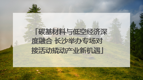 碳基材料与低空经济深度融合 长沙举办专场对接活动撬动产业新机遇