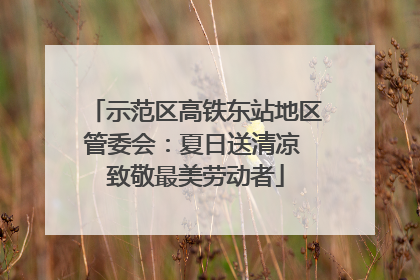 示范区高铁东站地区管委会：夏日送清凉 致敬最美劳动者