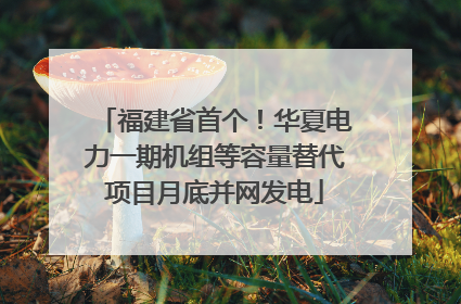 福建省首个！华夏电力一期机组等容量替代项目月底并网发电