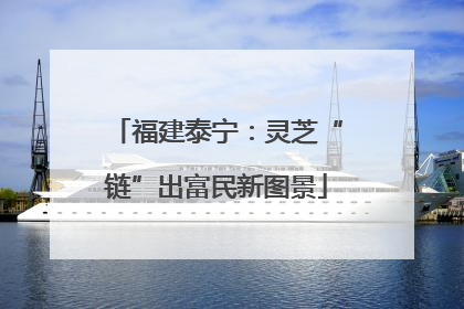 福建泰宁：灵芝“链”出富民新图景