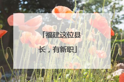 福建这位县长，有新职