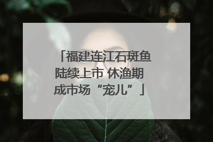 福建连江石斑鱼陆续上市 休渔期成市场“宠儿”