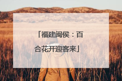 福建闽侯：百合花开迎客来