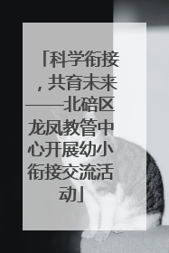 科学衔接，共育未来——北碚区龙凤教管中心开展幼小衔接交流活动