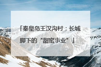 秦皇岛王汉沟村：长城脚下的“甜蜜事业”