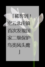 稀客到！密云北庄镇首次发现国家二级保护鸟类凤头鹰