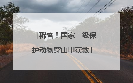 稀客！国家一级保护动物穿山甲获救
