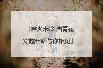 窑火未冷 唐青花穿越丝路与你相见