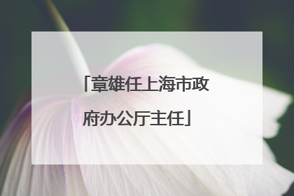 章雄任上海市政府办公厅主任