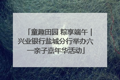 童趣田园 粽享端午｜兴业银行盐城分行举办六一亲子嘉年华活动
